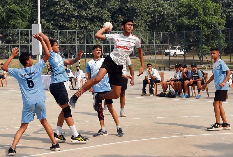 Cricket - Sports gallery
